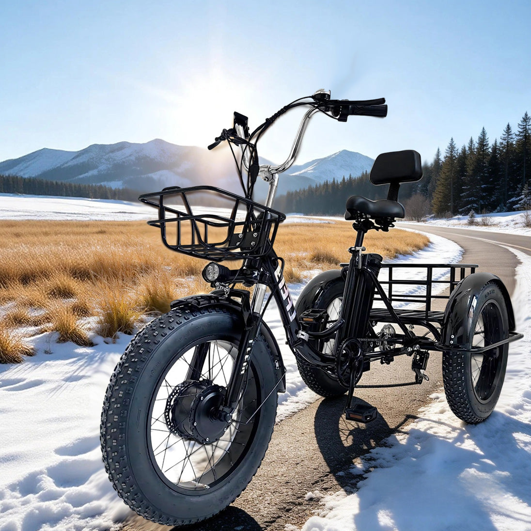 Black Electric Tricycle