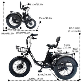 Black Electric Tricycle