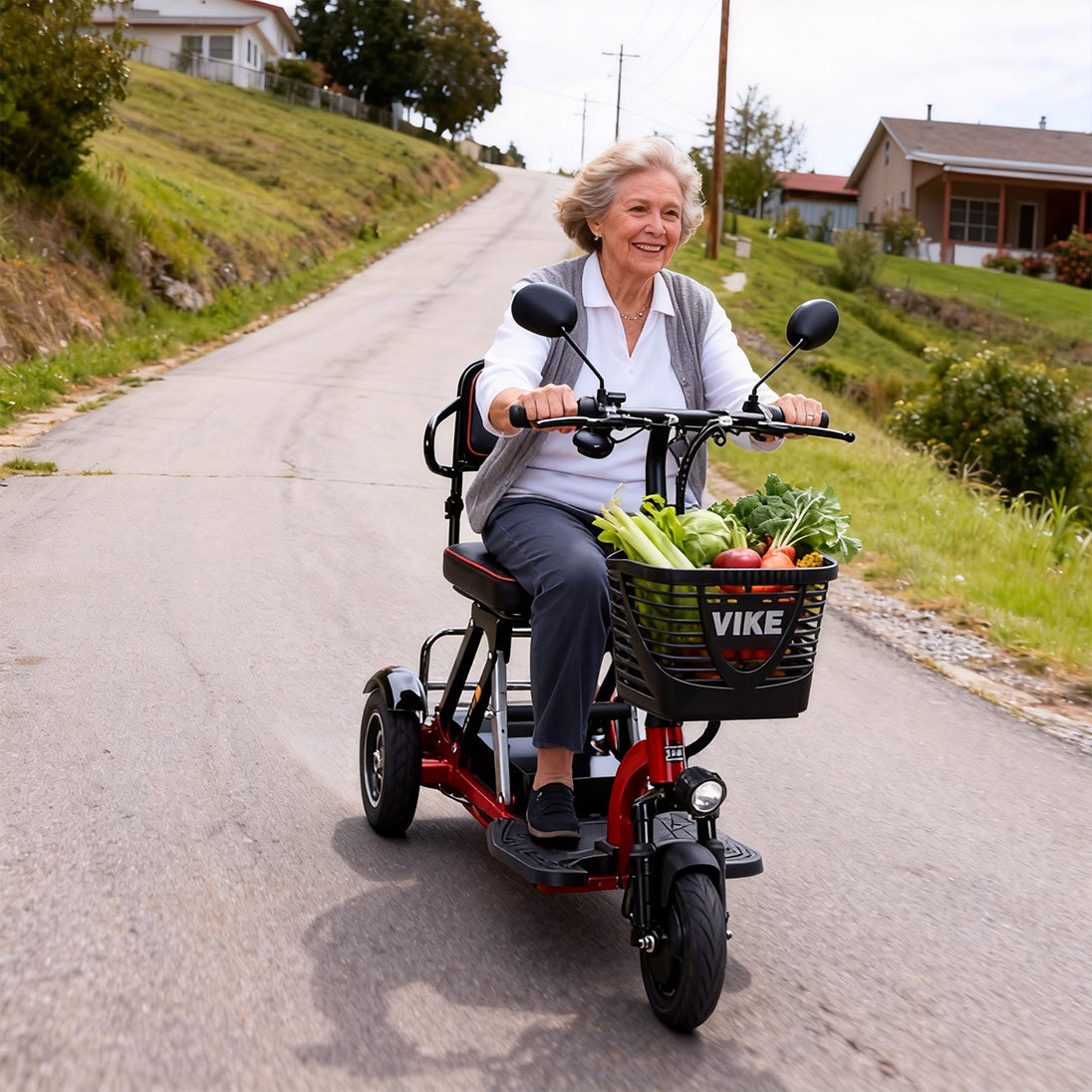 Electric Tricycle Olive Greenand &Red